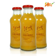 中华沙棘果汁饮料全国招商