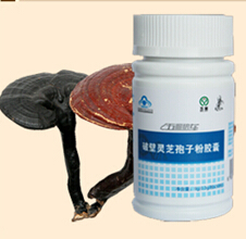 破壁灵芝孢子粉胶囊