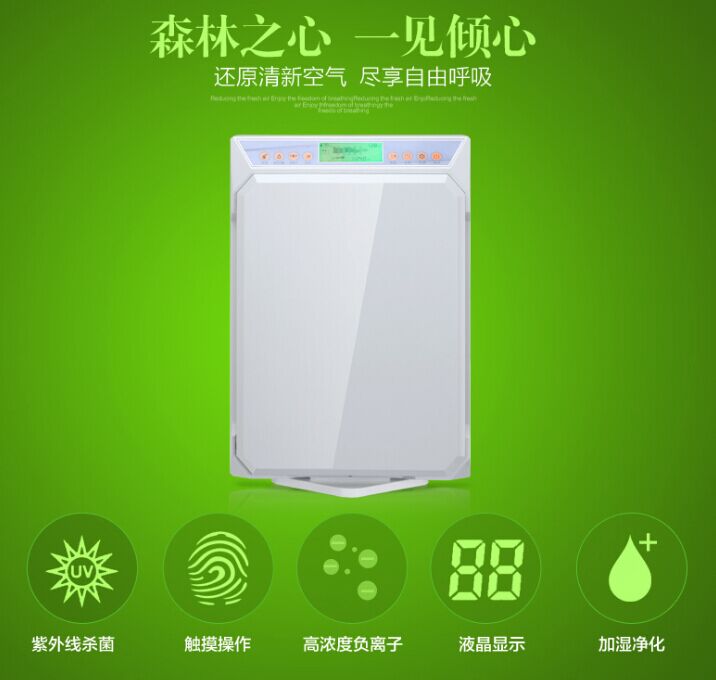 负氧离子空气净化机 厂家直销 全国招商批发