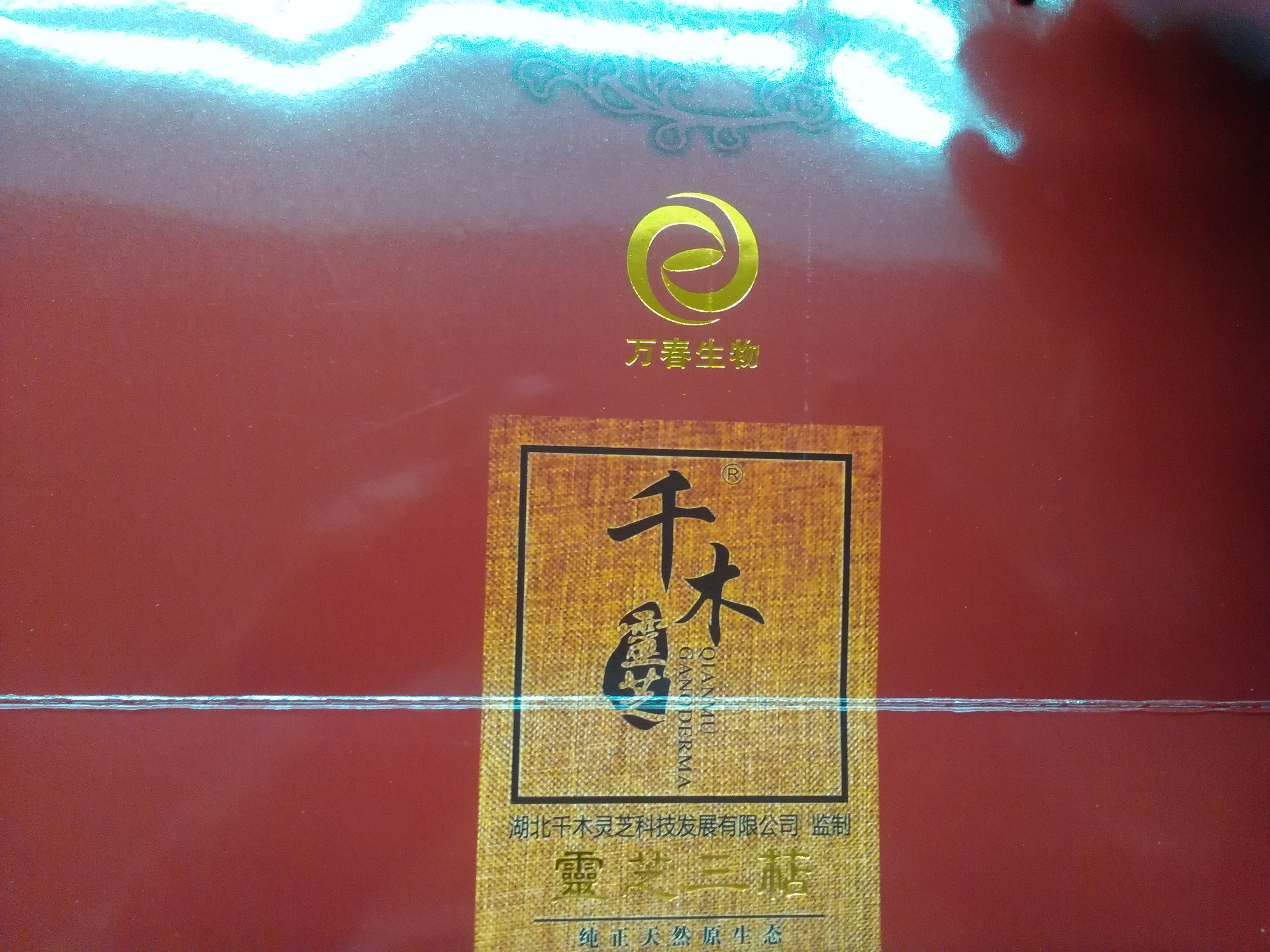 食用菌多糖固体饮料/