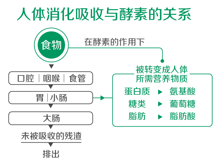 酵素生产企业OEM贴牌加工