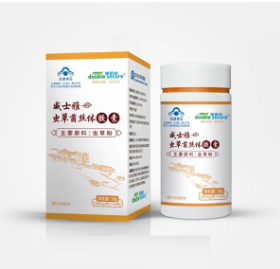 冬虫夏草 虫草菌丝体胶囊 高端产品