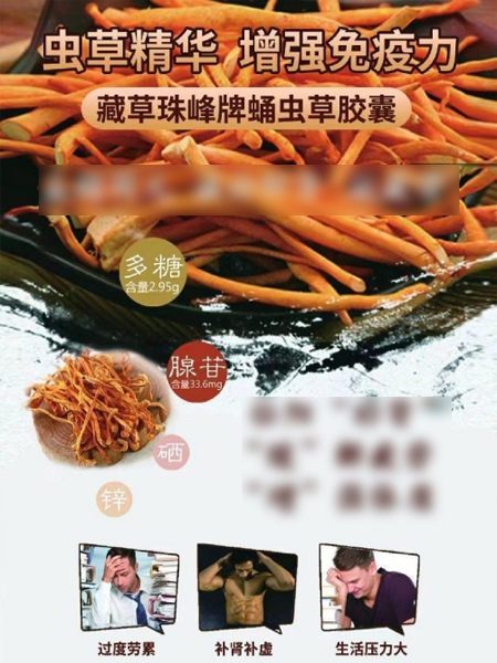 藏草珠峰牌蛹虫草胶囊