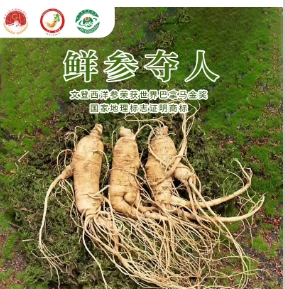 鲜西洋参