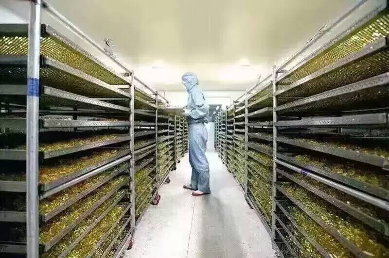 威海健尔力生物科技有限公司