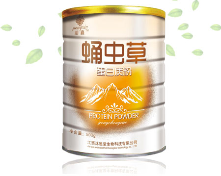 蛹虫草蛋白质粉